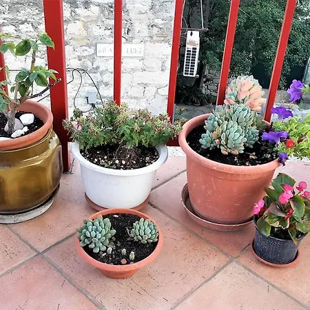 Bruno Centre And Διαμέρισμα *