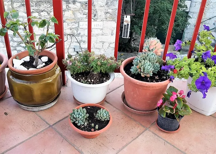 布鲁诺斯普利特中心公寓 公寓 *