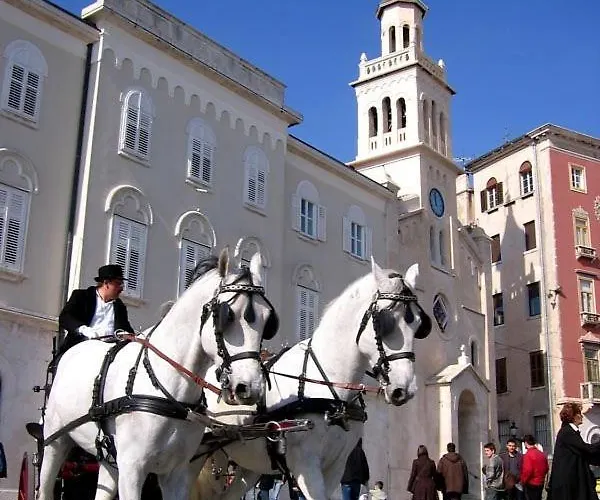 公寓 布鲁诺斯普利特中心公寓 *