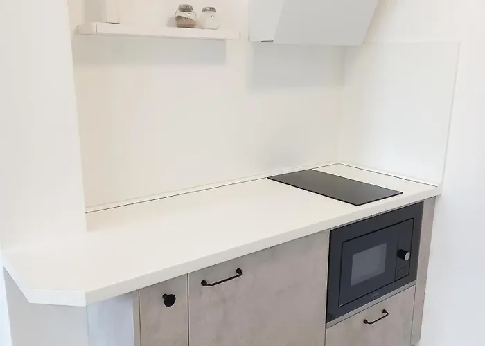 布鲁诺斯普利特中心公寓 公寓 *